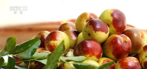 脆甜冬棗喜迎豐收 便捷物流助力農(nóng)戶(hù)"棗棗"致富