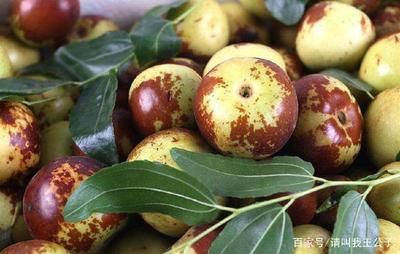 冬棗的營養(yǎng)價值,你知多少