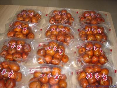 棗香村特產黃驊無核酥脆冬棗 批發(fā)零售指南與圖片展示